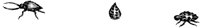 FBI141D.TIF