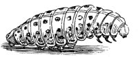 FBI094C.TIF