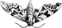 FBI074A.TIF