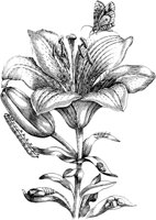 FBI071A.TIF
