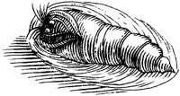 FBI069C.TIF