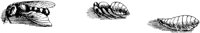FBI051C.TIF
