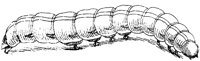 FBI034D.TIF