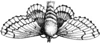 FBI017A.TIF