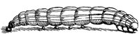 FBI016C.TIF