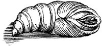 FBI001E.TIF