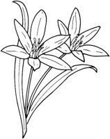 FWD040A.TIF