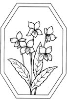 FWD033A.TIF