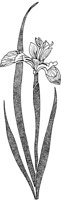FWD030A.TIF
