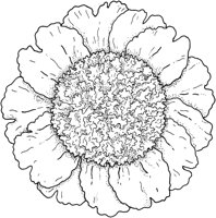 FWD029A.TIF