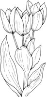 FWD027A.TIF