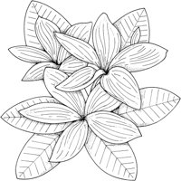 FWD024A.TIF