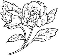 FWD019A.TIF