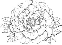 FWD015A.TIF