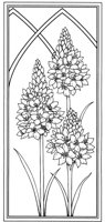 FWD010A.TIF