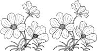 FWD007A.TIF