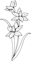FWD003A.TIF