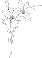 FWD002A.TIF