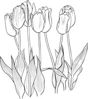 GFL039A.TIF