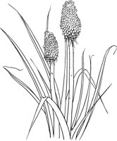 GFL038A.TIF