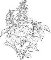 GFL034A.TIF
