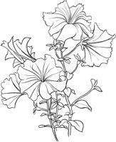 GFL029A.TIF
