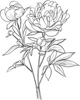 GFL028A.TIF