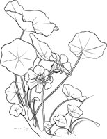 GFL025A.TIF