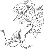 GFL023A.TIF