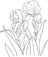 GFL019A.TIF