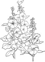 GFL017A.TIF