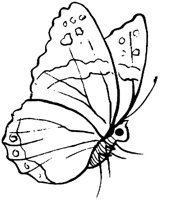 GFL016B.TIF
