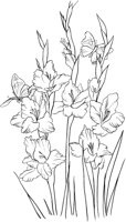 GFL016A.TIF