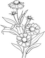GFL015A.TIF