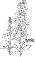 GFL014A.TIF