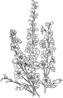 GFL012A.TIF