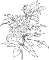 GFL010A.TIF