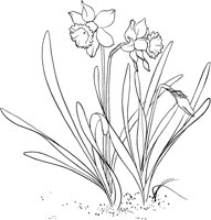 GFL009A.TIF
