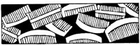 JPB049B.TIF