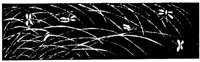 JPB047F.TIF