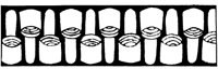 JPB046E.TIF