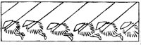 JPB042F.TIF