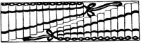 JPB041B.TIF