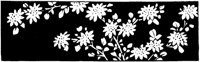 JPB030C.TIF