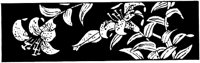 JPB027D.TIF
