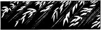 JPB017E.TIF