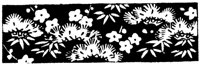 JPB009A.TIF