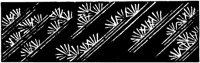 JPB001F.TIF