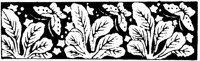 JPB074F.TIF