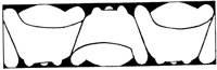 JPB061A.TIF